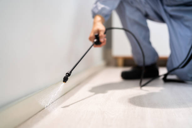 Licensed Pest Control service in Churchill, MT - Show Me Pest Control